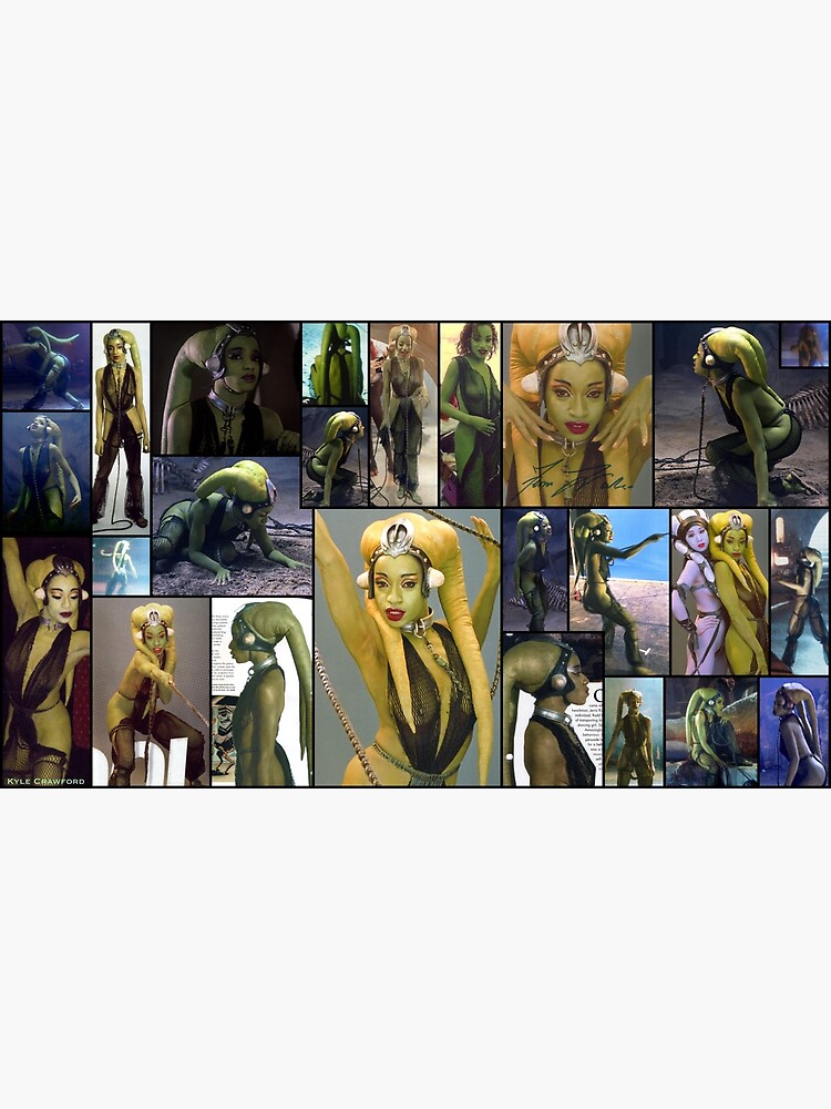 Slave dancer essay 03 picture