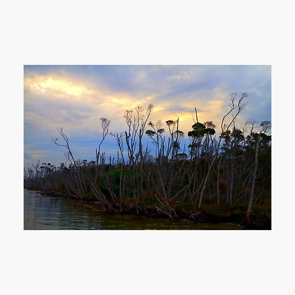 Item preview, bairnsdale sunset designed and sold by ashara.