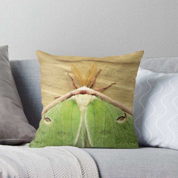 Item preview, Luna Moth designed and sold by elasita.