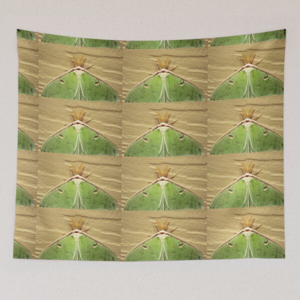 Item preview, Luna Moth designed and sold by elasita.
