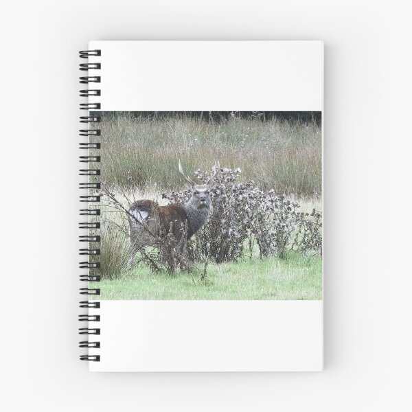 Item preview, Sika stag designed and sold by JUDI2008.