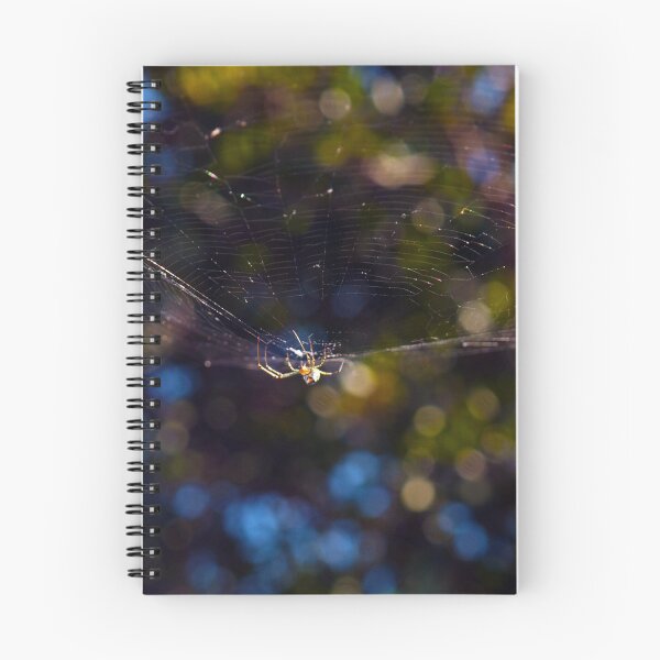 Item preview, The Web designed and sold by Elisabeth Dubois.