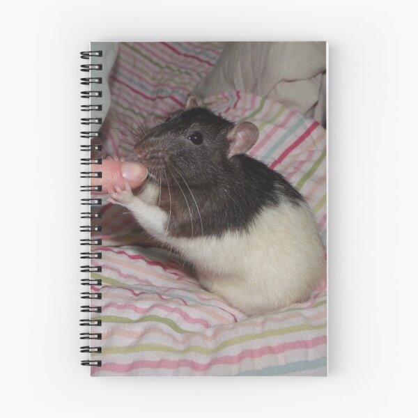 Item preview, baby Loomis rat designed and sold by mindgoop.