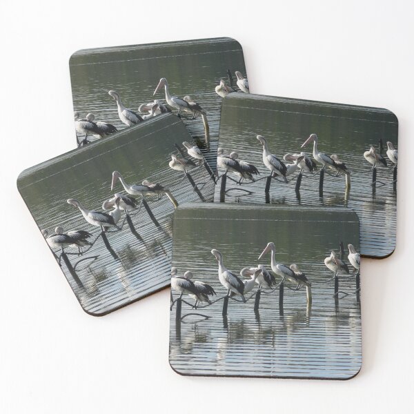 Item preview, Sunday Morning with the Pelicans designed and sold by sunrisecoast.