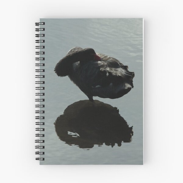 Item preview, Snoozing Swan designed and sold by Jerry Tingle - photofirst.