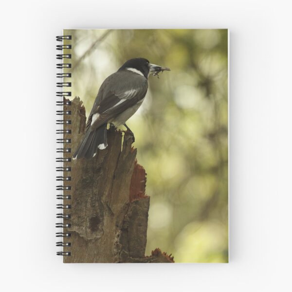 Item preview, Grey Butcherbird with a snack designed and sold by Jerry Tingle - photofirst.