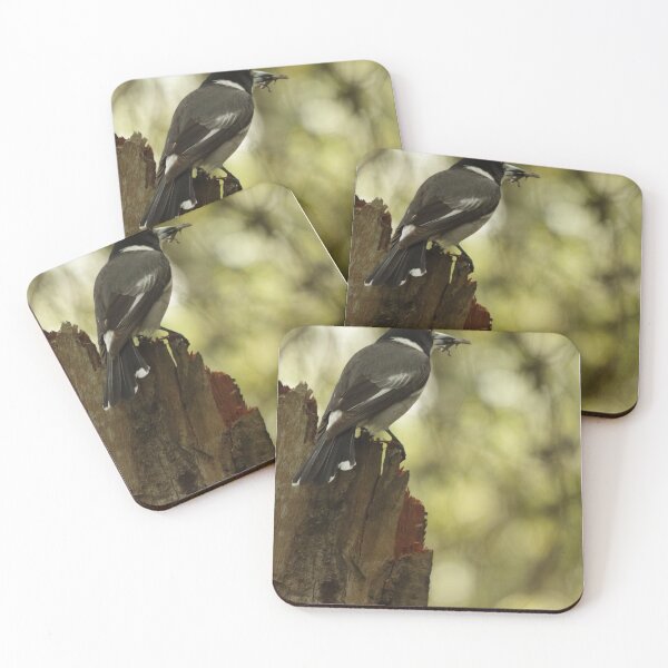 Item preview, Grey Butcherbird with a snack designed and sold by Jerry Tingle - photofirst.