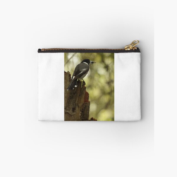 Item preview, Grey Butcherbird with a snack designed and sold by Jerry Tingle - photofirst.