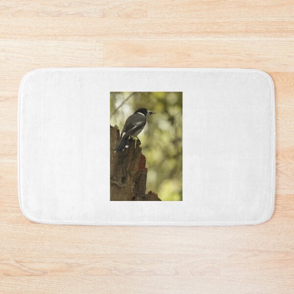 Item preview, Grey Butcherbird with a snack designed and sold by Jerry Tingle - photofirst.