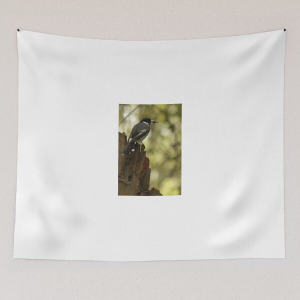 Item preview, Grey Butcherbird with a snack designed and sold by Jerry Tingle - photofirst.