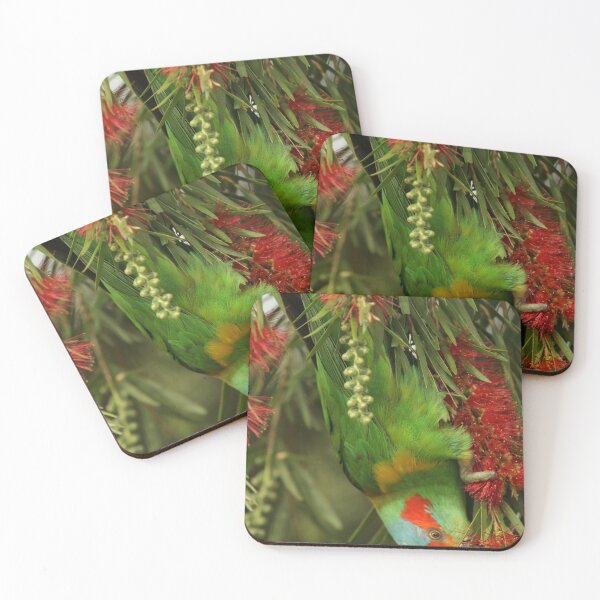 Item preview, Musk Lorikeet designed and sold by Jerry Tingle - photofirst.