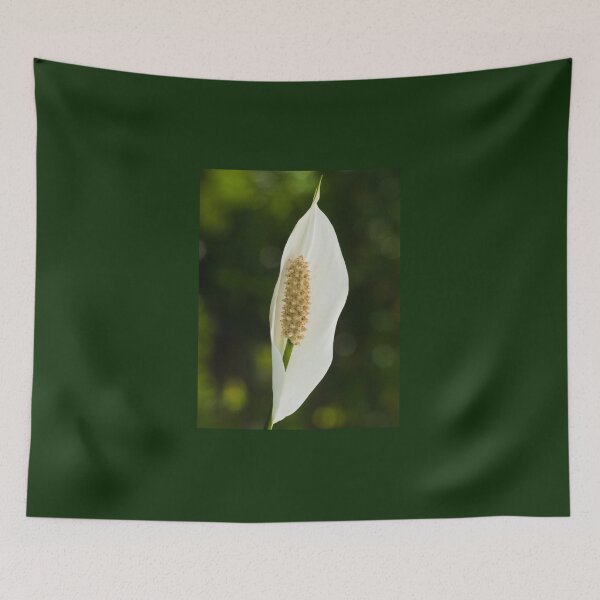 Item preview, White Peace Lily Flower designed and sold by Connie Pinson.