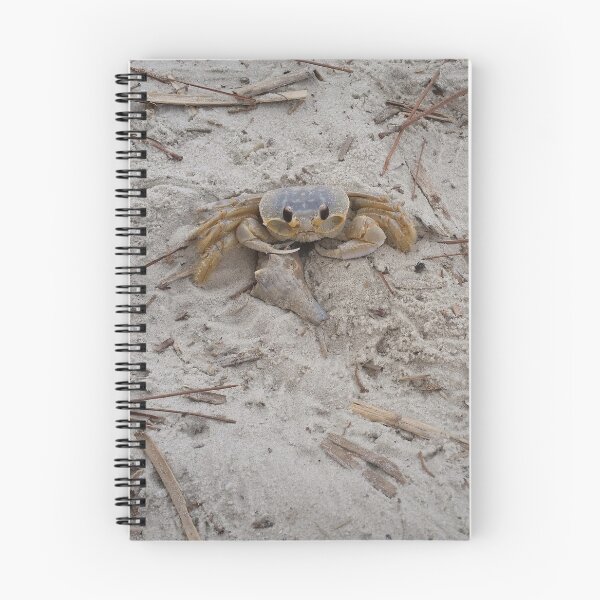 Item preview, That's My Shell designed and sold by Robin Kinnard.