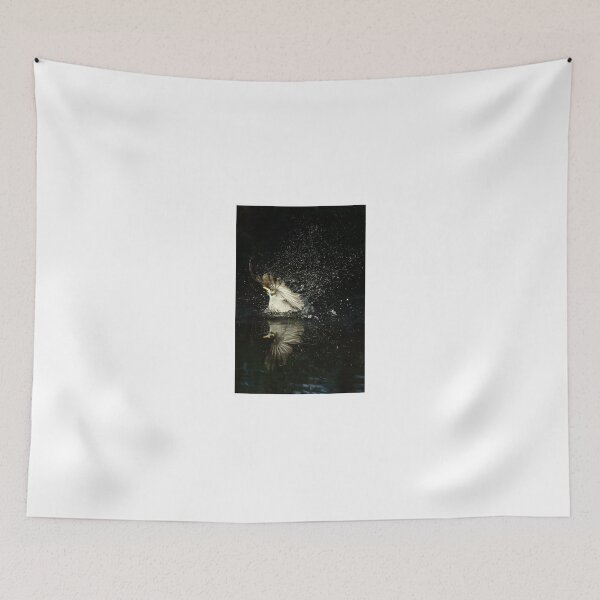 Item preview, Plunge Bath designed and sold by Jerry Tingle - photofirst.