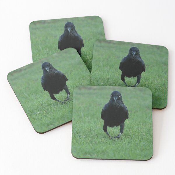 Item preview, A Resolute Raven designed and sold by Jerry Tingle - photofirst.
