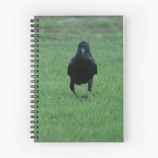 Item preview, A Resolute Raven designed and sold by Jerry Tingle - photofirst.