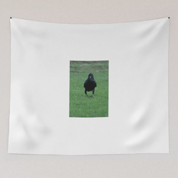 Item preview, A Resolute Raven designed and sold by Jerry Tingle - photofirst.