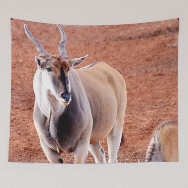 Artikelvorschau, ELAND BULL UND JUNGES BULLENKALB - Taurotragus oryx - Eland koei en kalf entworfen und verkauft von Magriet Meintjes.