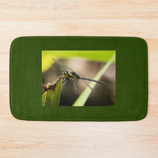 Item preview, Striped swampdragon (Dragonfly) resting on leaf. designed and sold by Connie Pinson.