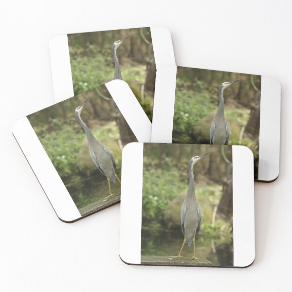 Item preview, Stre-e-e-e-tch designed and sold by Jerry Tingle - photofirst.