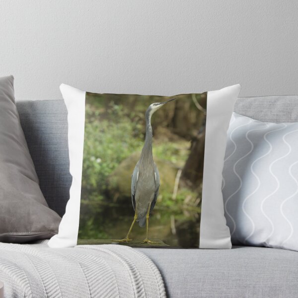 Item preview, Stre-e-e-e-tch designed and sold by Jerry Tingle - photofirst.