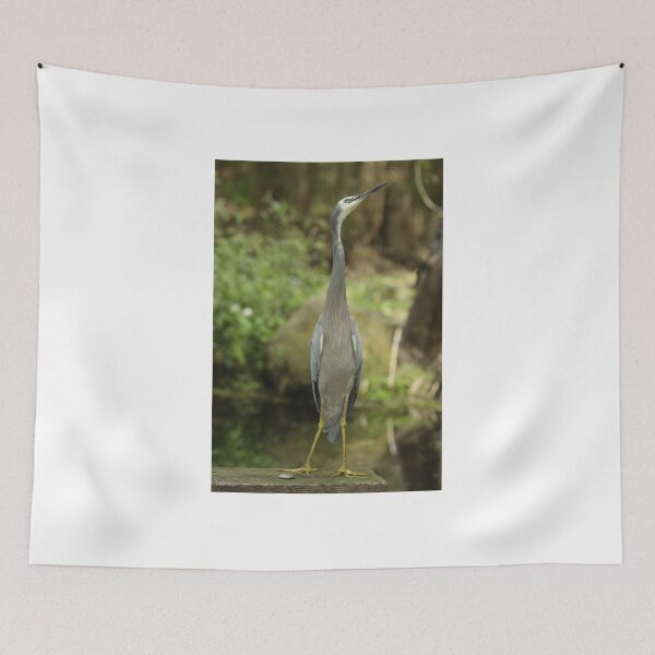 Item preview, Stre-e-e-e-tch designed and sold by Jerry Tingle - photofirst.