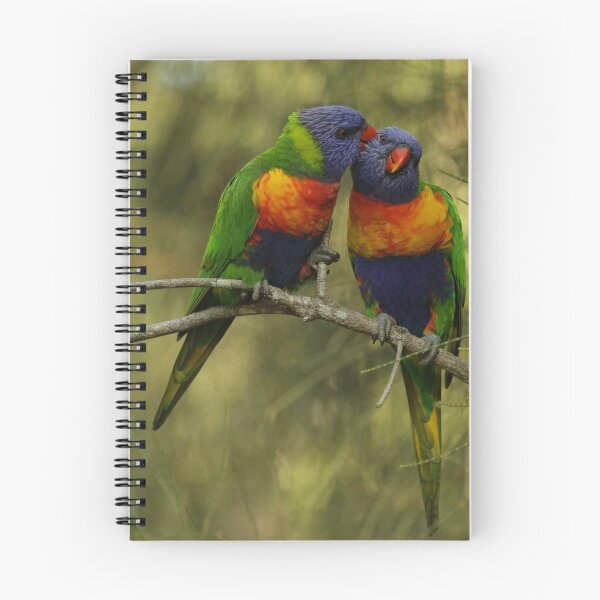 Item preview, Rainbow Lorikeets designed and sold by Jerry Tingle - photofirst.