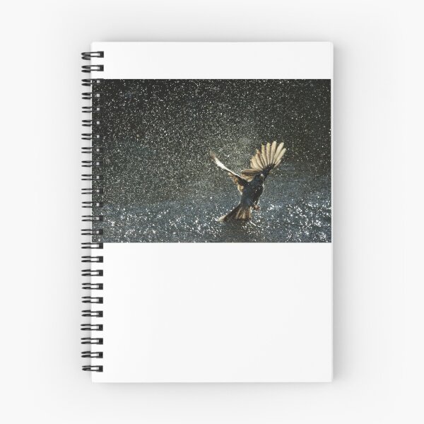 Item preview, Miner splash designed and sold by Jerry Tingle - photofirst.
