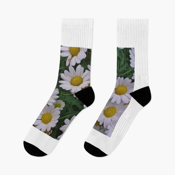 Item preview, Marguerite Daisies (Argyranthemum) designed and sold by lezvee.