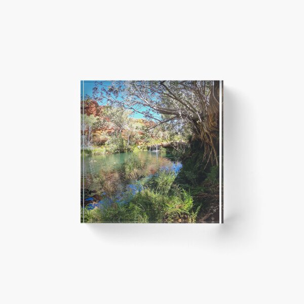 Item preview, Fern Pool, Dales Gorge - Karijini National Park WA designed and sold by susiereynolds66.