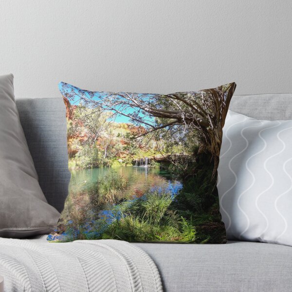 Item preview, Fern Pool, Dales Gorge - Karijini National Park WA designed and sold by susiereynolds66.