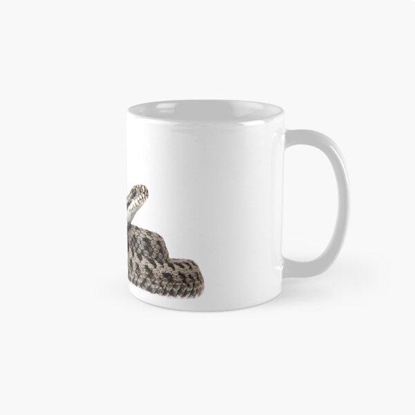 Item preview, Vipera berus - European Adder designed and sold by Thor  Håkonsen.