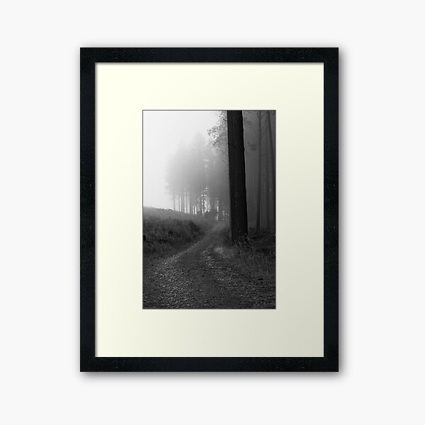 Sugar Pine Walk 3 Framed Art Print