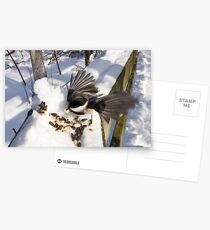 Caught in action Postcards