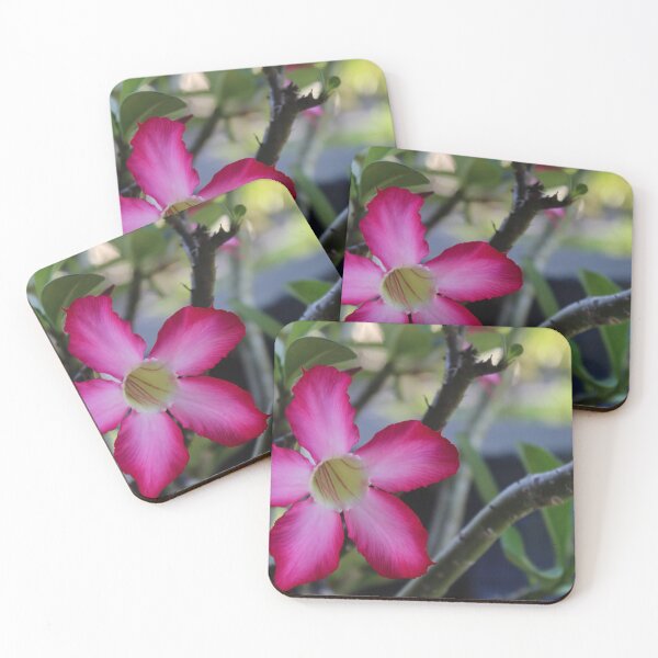 Item preview, tropical flower designed and sold by Micki Selvitella.