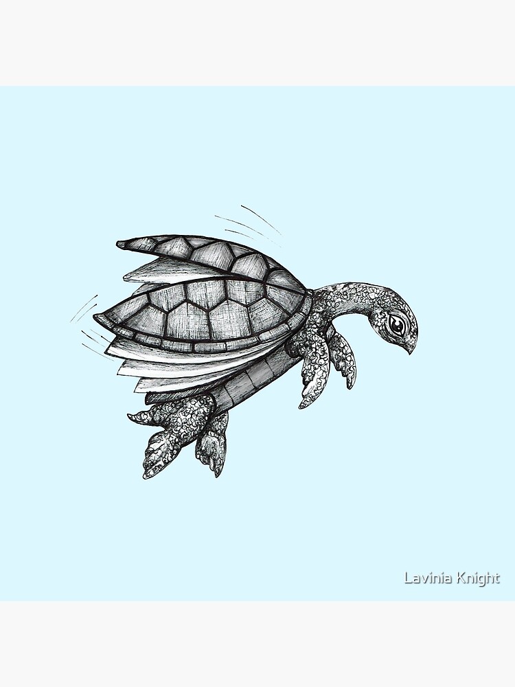flying turtle spirit animal flying turtle spirit animal