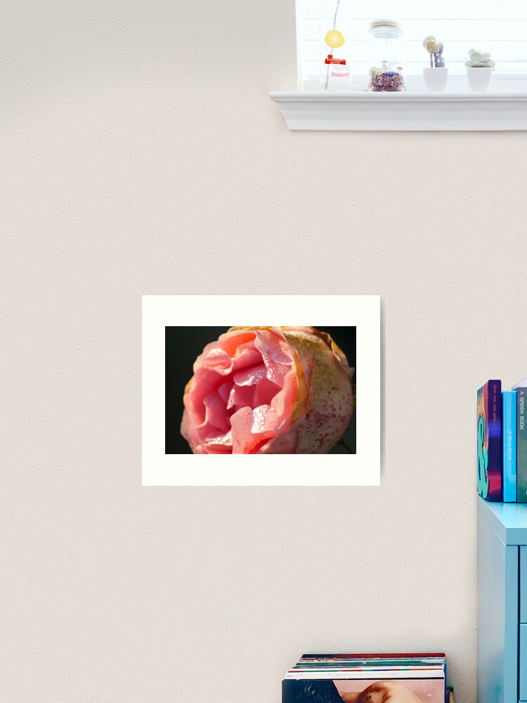 Thumbnail 2 of 3, Art Print, Sweet as of old... designed and sold by steppeland.