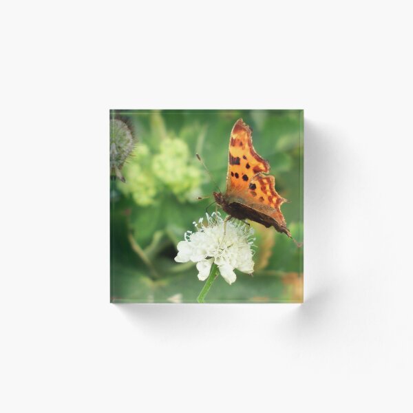 Item preview, Beautiful Butterfly designed and sold by boux.
