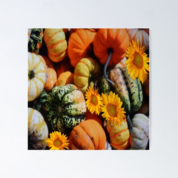 Artikelvorschau, FALL HARVEST SQUASH SUNFLOWERS ART entworfen und verkauft von sharlesart.