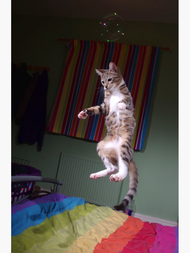 "Bubble kitty" Sticker by turniptowers Redbubble