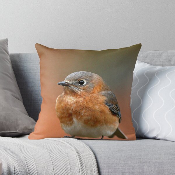 Blue best sale bird pillow