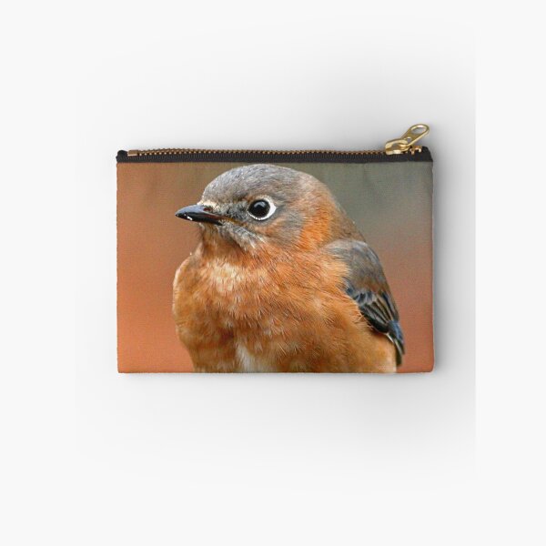 Item preview, Eastern Bluebird designed and sold by Enola Gay Wagner.