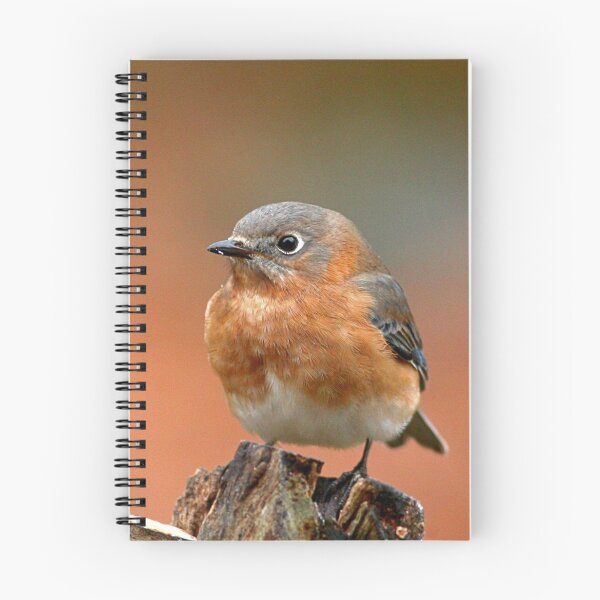 Item preview, Eastern Bluebird designed and sold by Enola Gay Wagner.