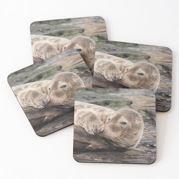 Item preview, Ravenscar Seal 1 designed and sold by jans-exe.