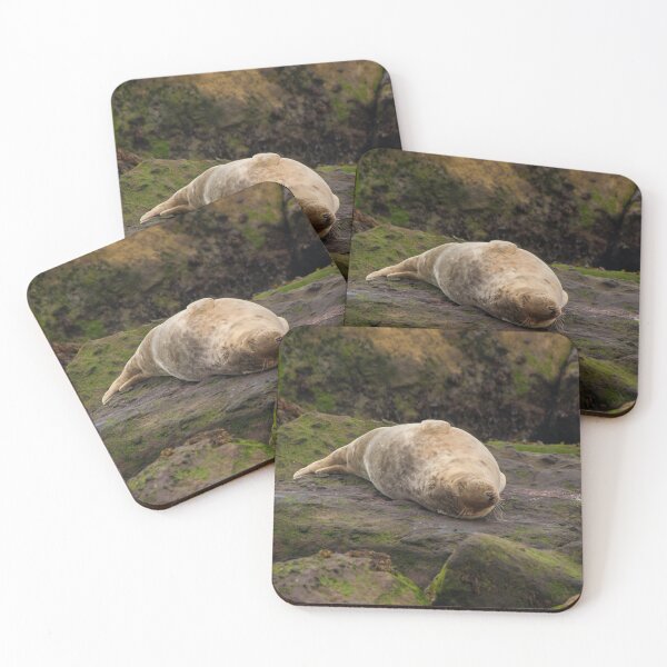 Item preview, Ravenscar Seal 2 designed and sold by jans-exe.