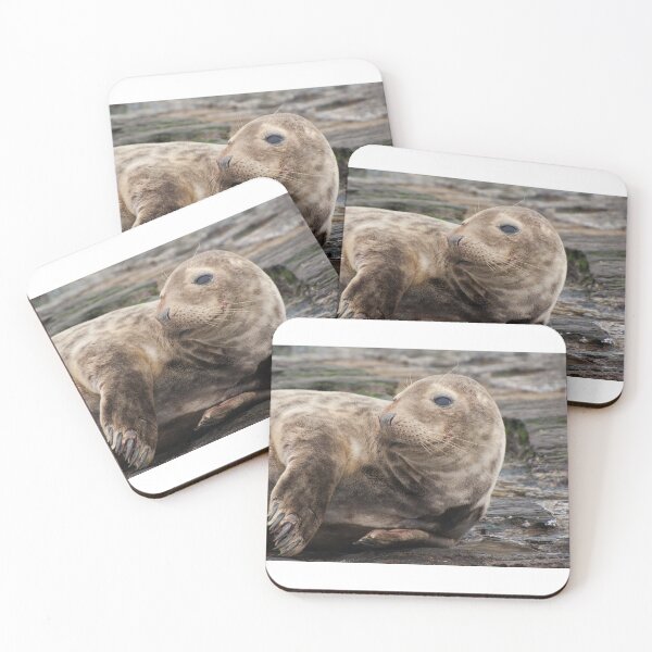 Item preview, Ravenscar Seal 4 designed and sold by jans-exe.