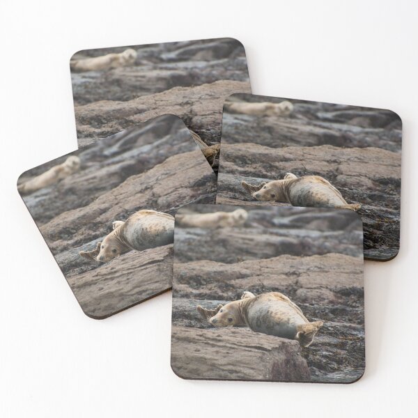Item preview, Ravenscar Seal 5 designed and sold by jans-exe.