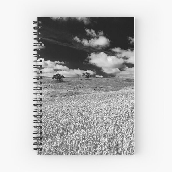 Item preview, South Downs Summer designed and sold by HazyApplePhoto.