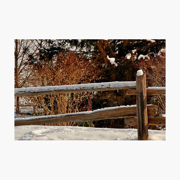 Item preview, Split Rail Fence designed and sold by grrizzly.
