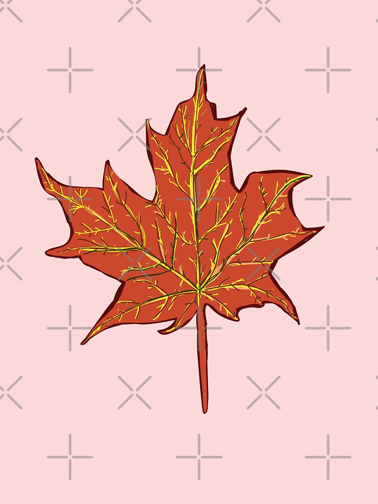Maple Leaf Outline Images – Browse 775,593 Stock Photos, Vectors, and Video  | Adobe Stock